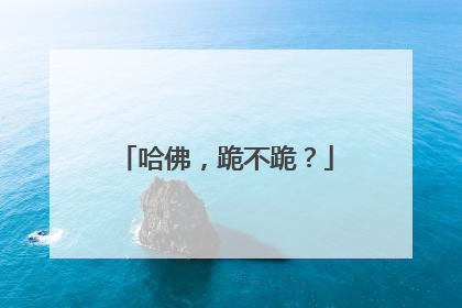 哈佛，跪不跪？